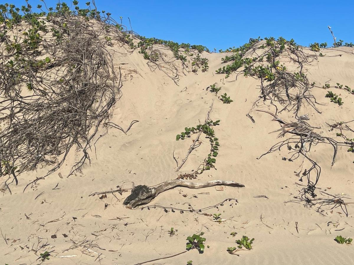 Appartamento Eden Wilds 72 Port Edward Esterno foto